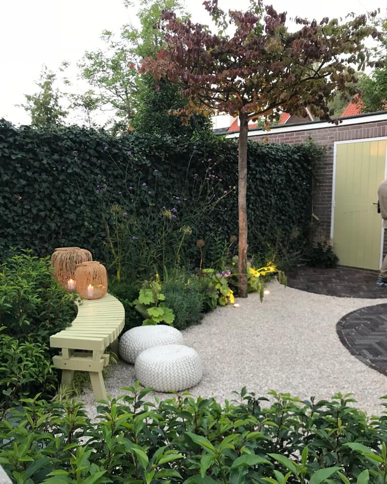 Elise-schaap-6