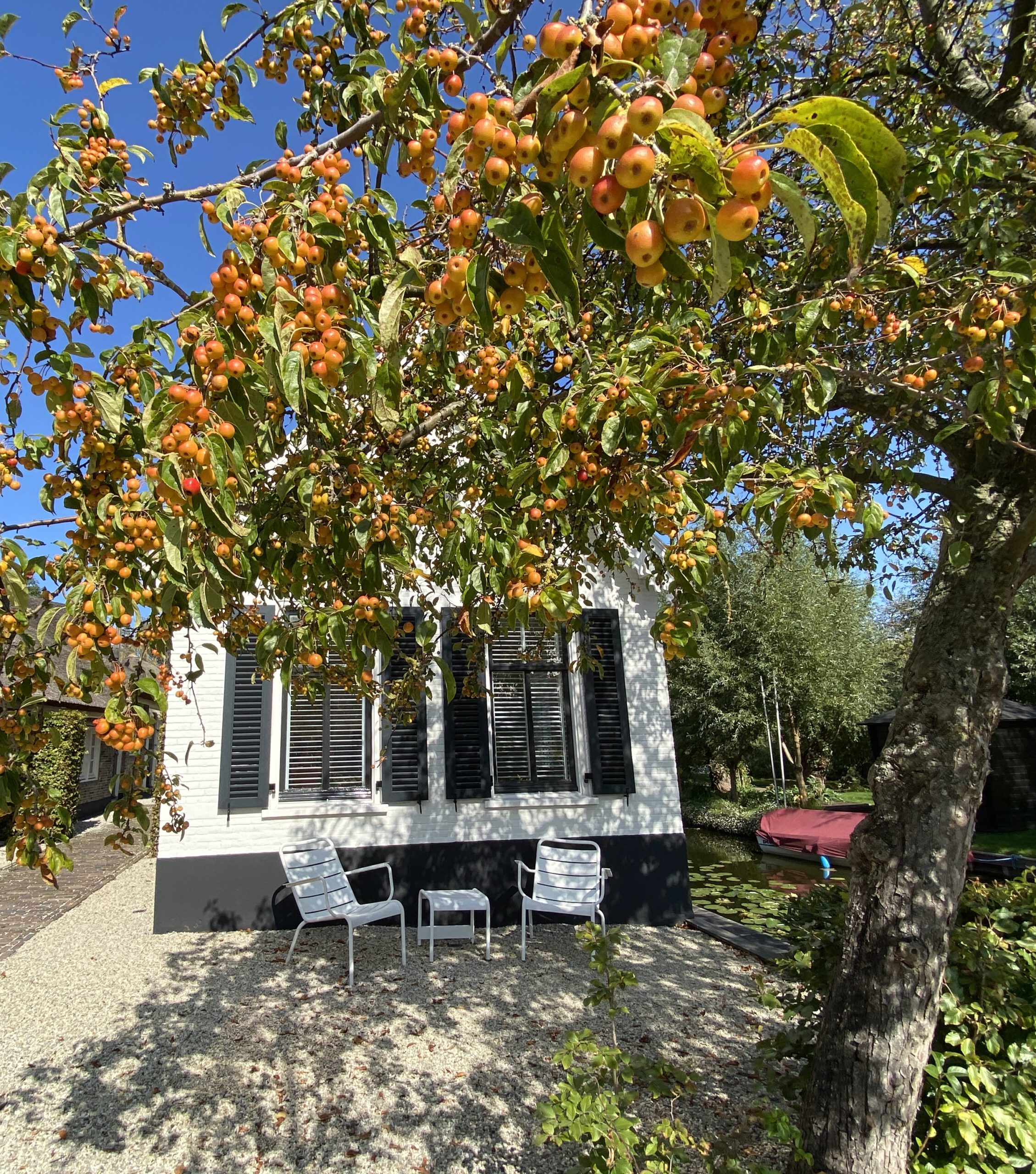 Erwin Stam Tuinstudio | Farmhouse garden