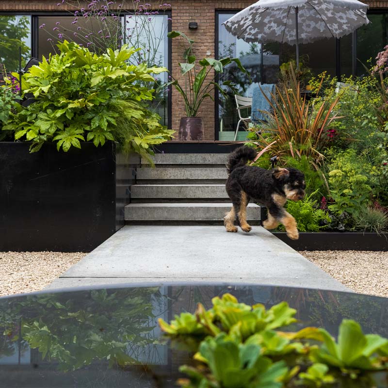 Erwin Stam Tuinstudio | Townhouse Rotterdam-Kralingen