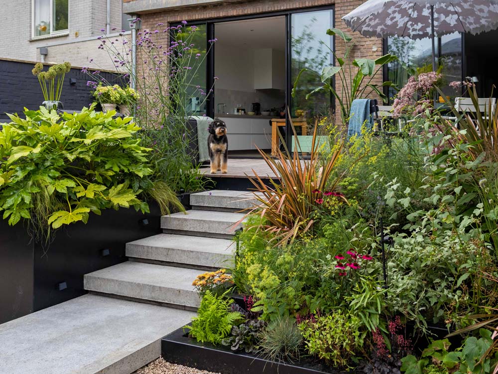 Erwin Stam Tuinstudio | Townhouse Rotterdam-Kralingen
