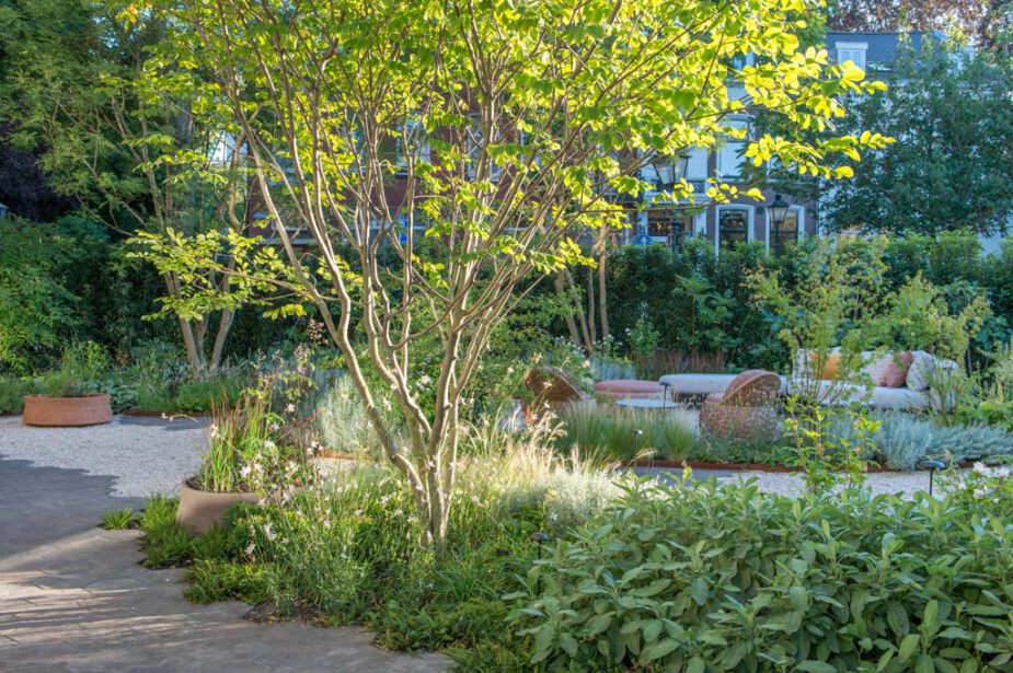Erwin Stam Tuinstudio | Green oasis in the city