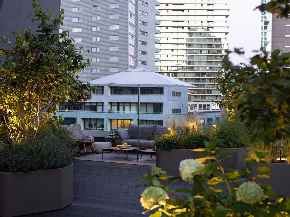 Erwin Stam Tuinstudio | roof terrace Rotterdam