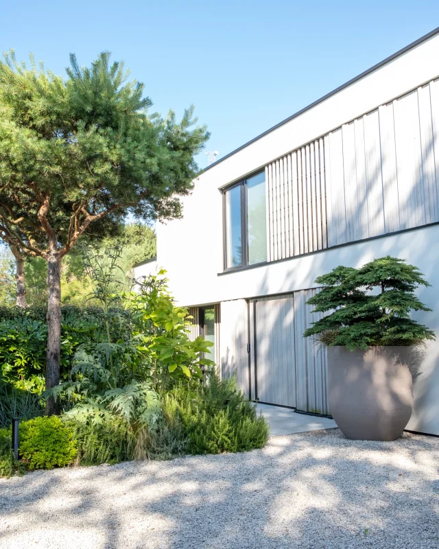 Project Zeeland Retreat - A serene Mediterranean welcome — modern lines and soft planting coming to life in the sun. 

📸 by Maayke de Ridder Photography Amsterdam

Project realization by @rhtuinen.nl 

Umbrella Pine Tree by @ebben_trees 

Pot by @torcpots 

Design villa by Bas Backx Architecten