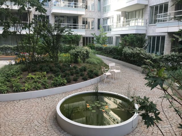 Project - Amsterdam Inner Garden - 

Urban calm, by design. 
Timeless planting within the city.
Amsterdam Zuidas.

#amsterdam #garden 
 #UrbanGarden #landscapearchitecture