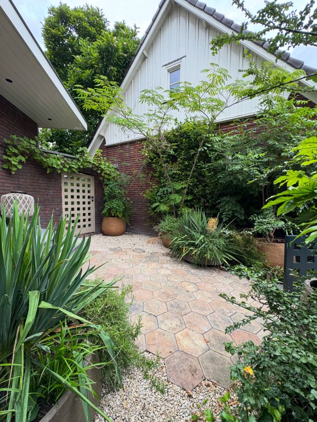 Kralingen entrance garden. A green welcome 🌿

📸 Maayke de Ridder Producties Amsterdam